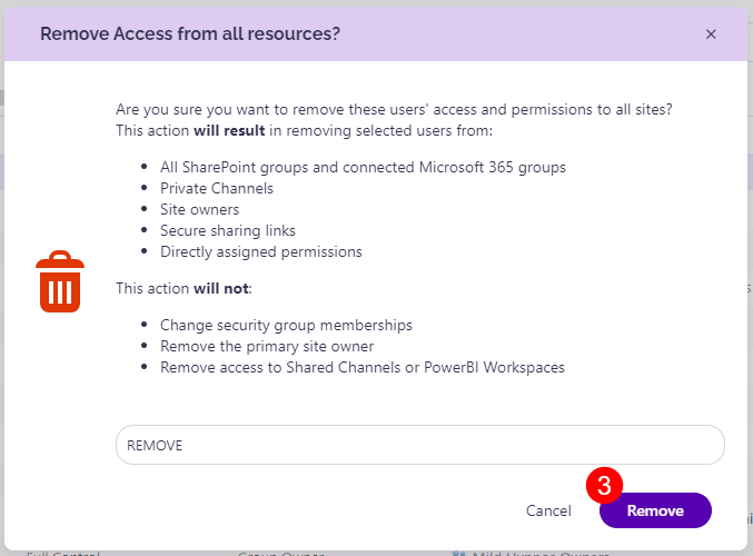 Syskit Point User Access report Remove Access action prompt