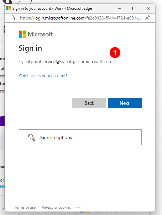 Service Account - Microsoft Authentication Flow