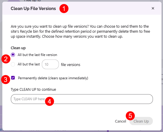 Clean Up File Versions - Confirm