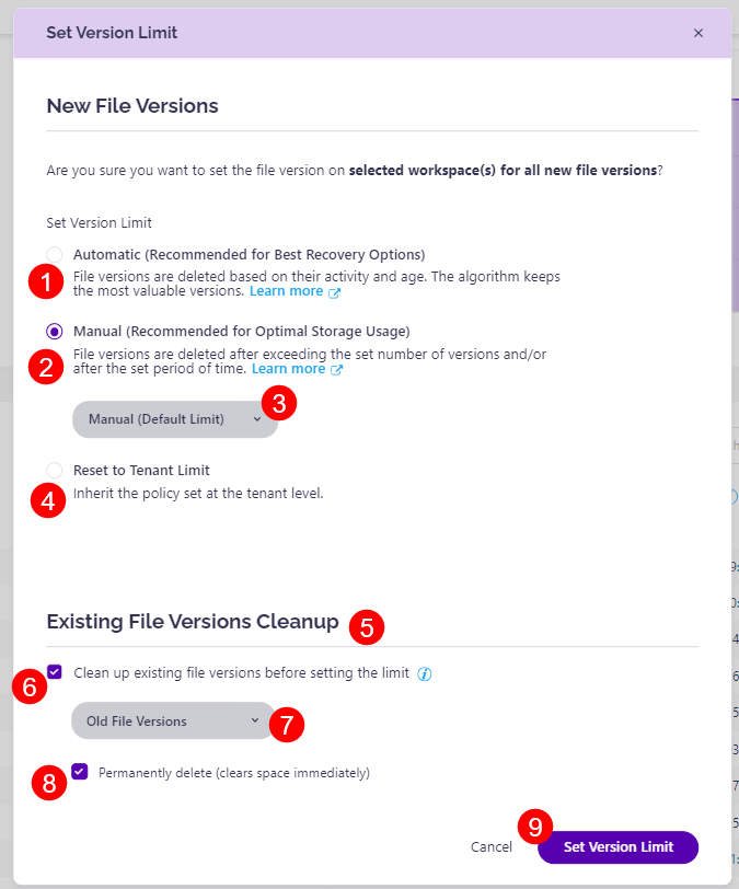 Storage Versioning Limits - Set Version Limit on Workspace - Selection