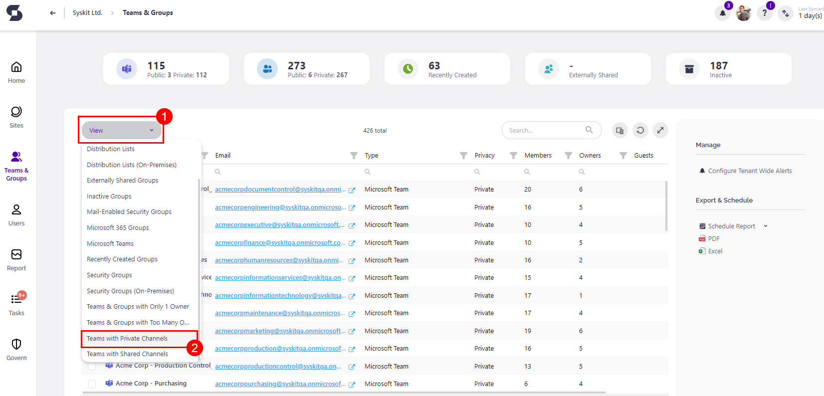 Syskit Point Group Overview screen - choosing Teams with Private Channels view