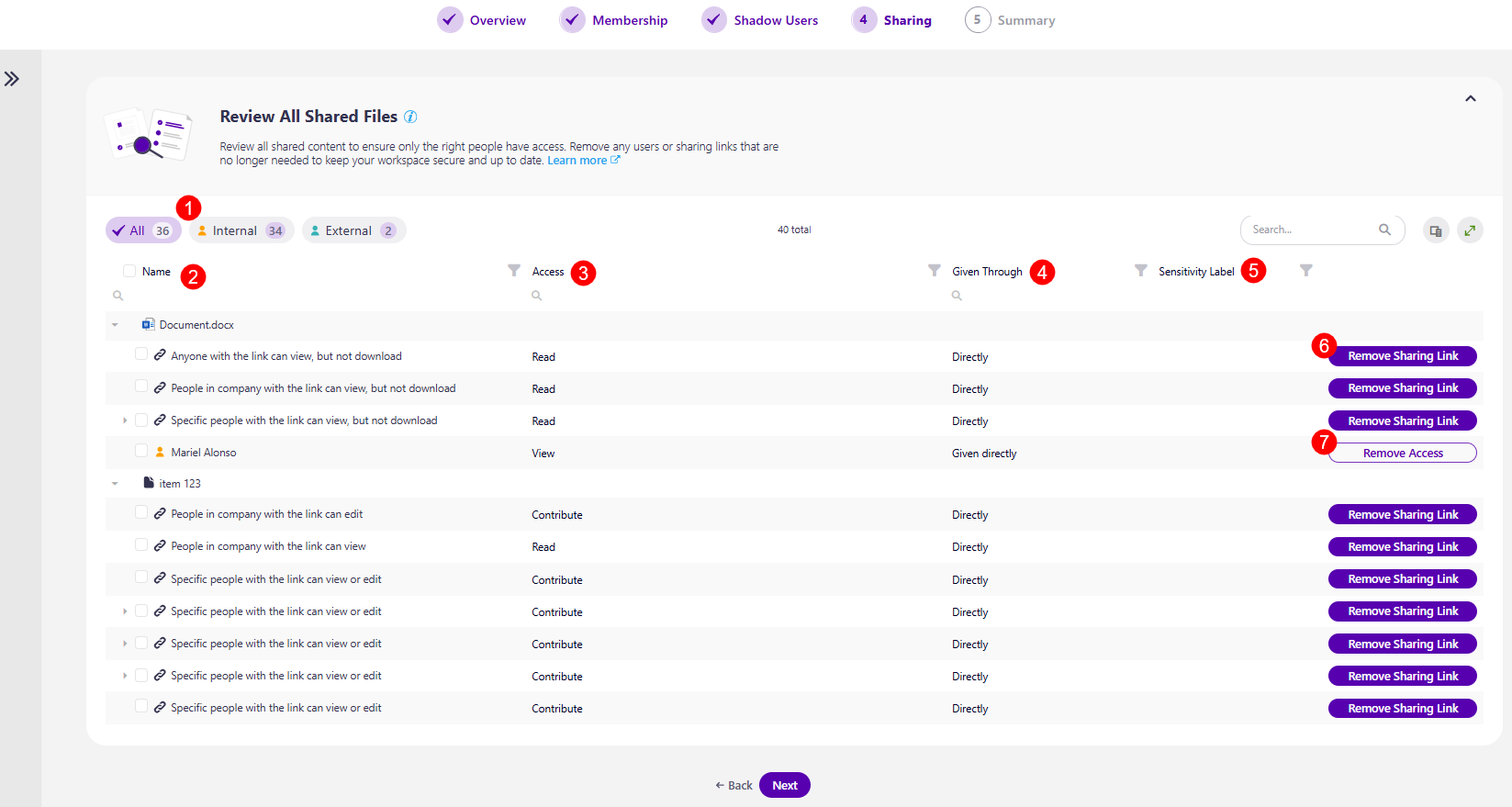 Workspace Review - Sharing Step - Review All Shared Files